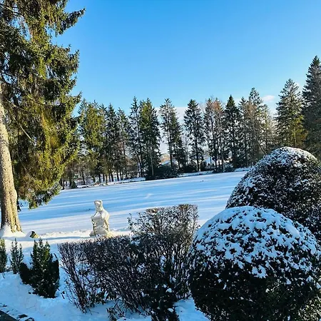 Steineweiher 호텔 상트비스
