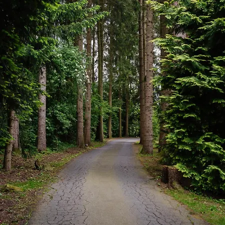 Hotel Steineweiher 3*