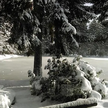 Steineweiher 3* St. Vith