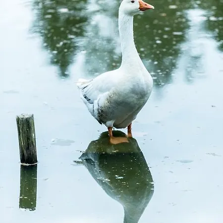 Hotel Steineweiher