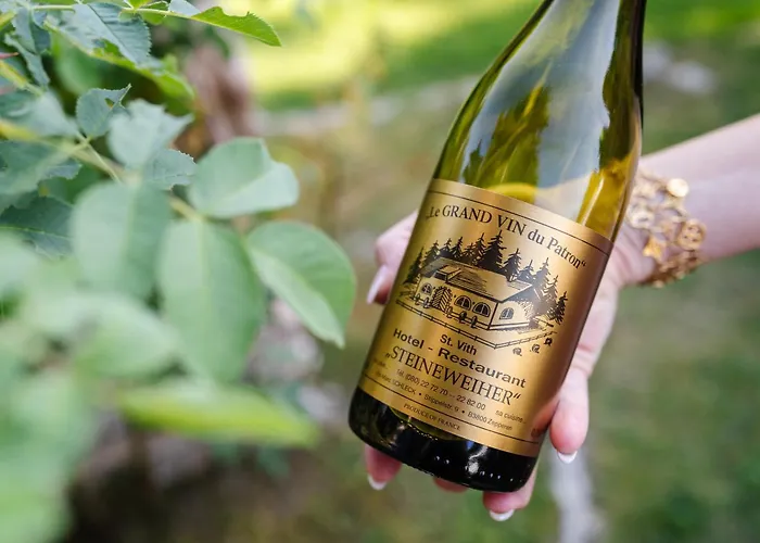 Steineweiher Hotel 3*